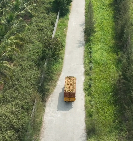 Supporting Local Communities: Valar Coco's Commitment to Local Sourcing