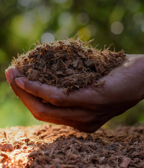 Grow Stronger, Healthier Crops with Valar Coco