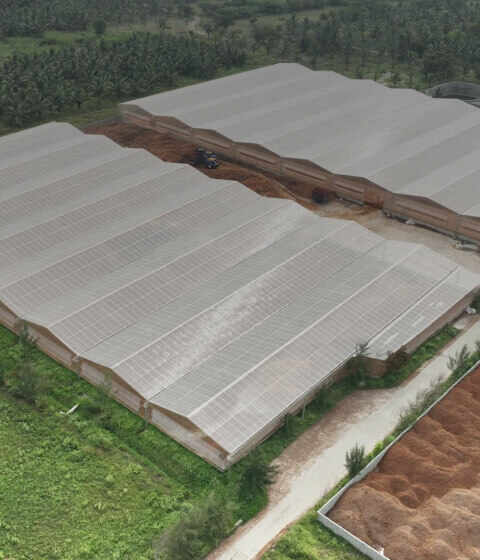 Premium Coir Substrates for Hydroponic Farming