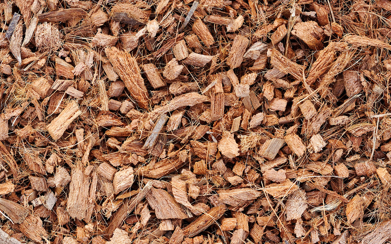 Chips (10mm)