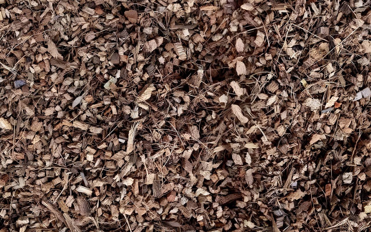 Pips (4mm)