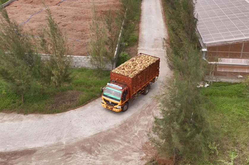 Husk Sourcing