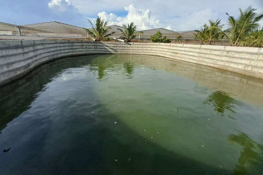 Rain water collection